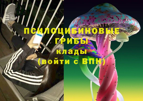 индика Балахна